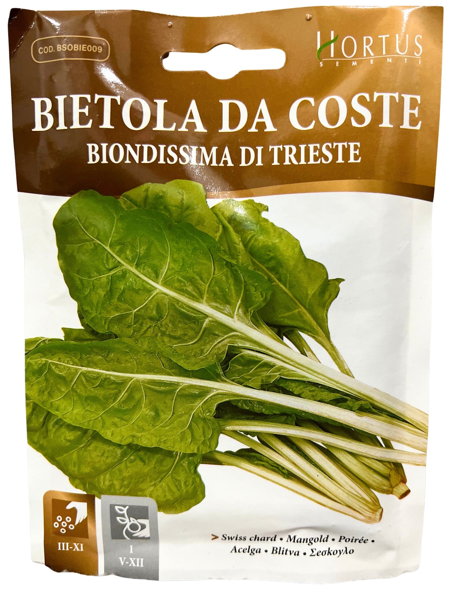 Swiss Chard( Biondissima Di Trieste) Seeds