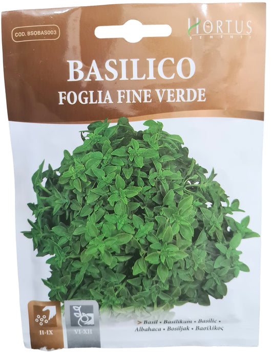 Basil ( Foglia Fine Verde) Seeds