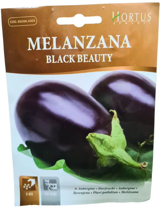 Aubergine (Black Beauty) Seeds