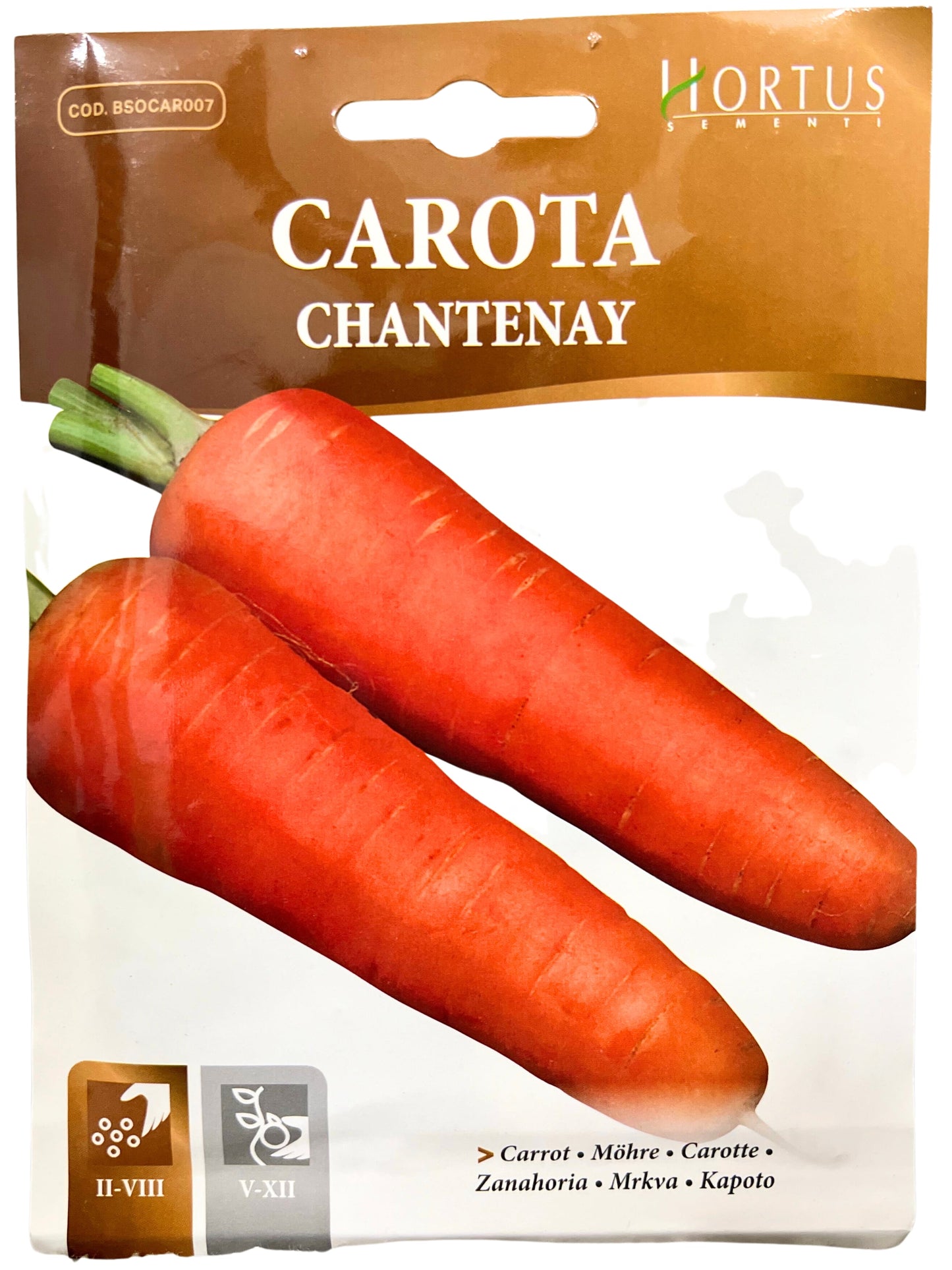 Carrot (Chantenay) Seeds