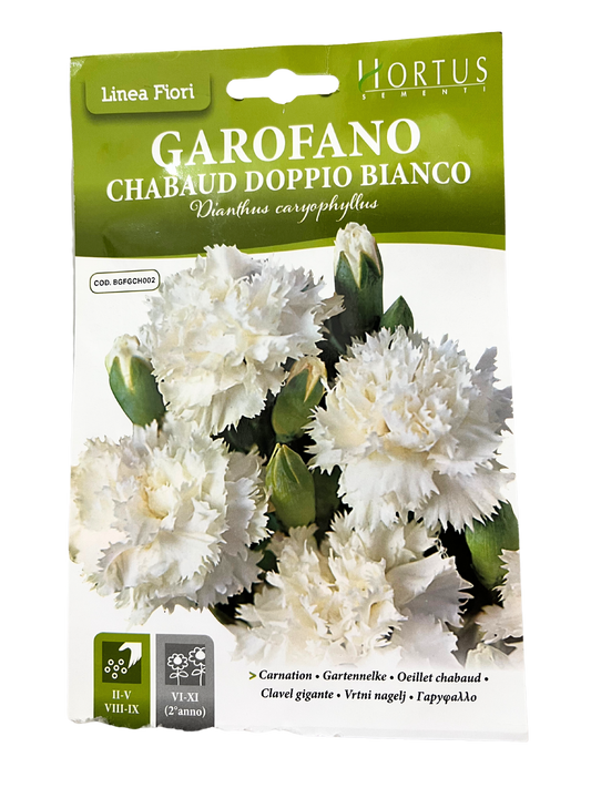 Carnation ( Chabaud Doppio Bianco) Seeds