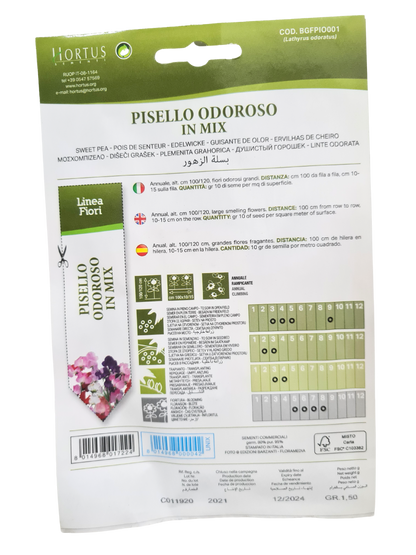 Sweet pea Seeds