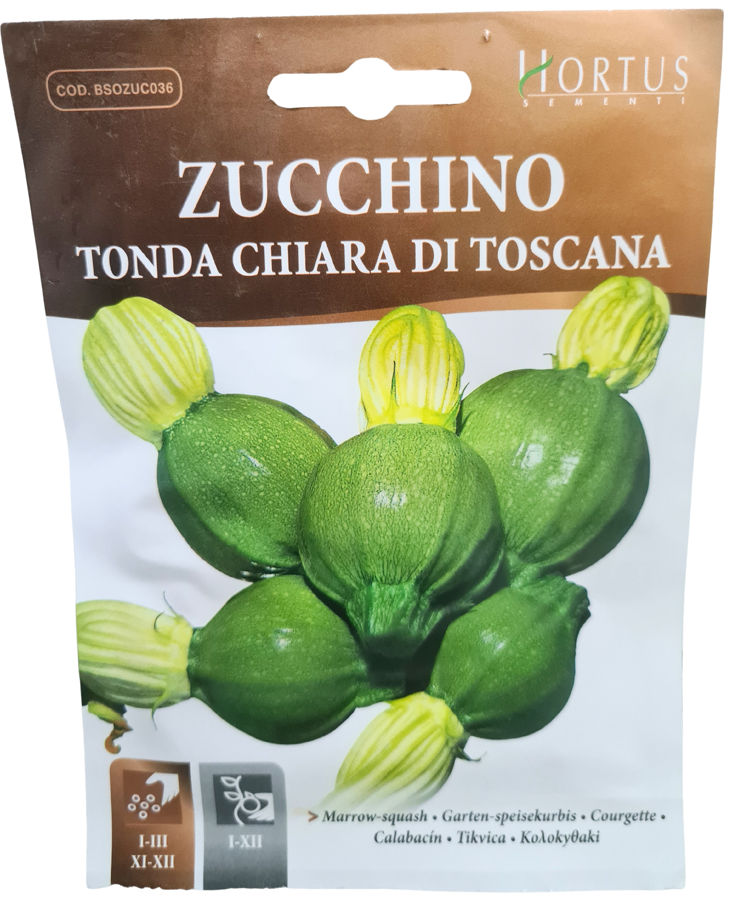 Marrow-Squash (Tonda Chiara Di Toscana) Seeds