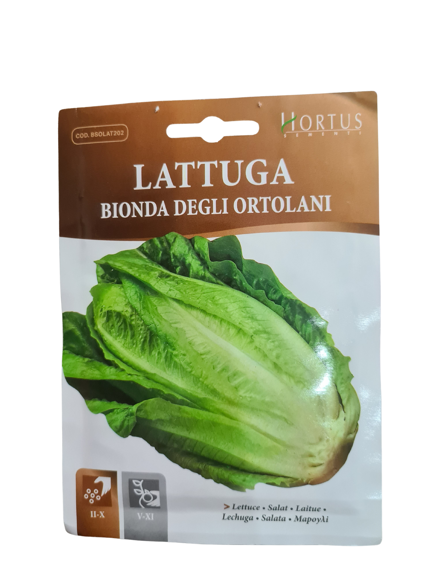 Lettuce (Bionda Degli Ortolani) Seeds