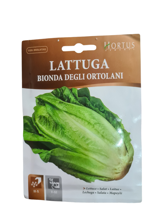 Lettuce (Bionda Degli Ortolani) Seeds