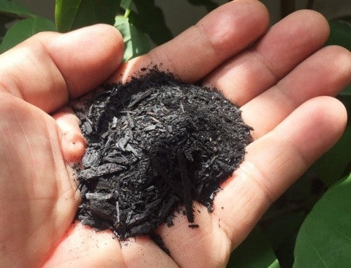 BioChar - Soil Amendment & Conditioner