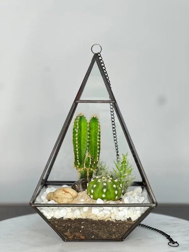 Cactus Terrarium #2