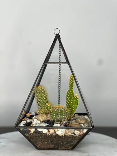 Cactus Terrarium #1